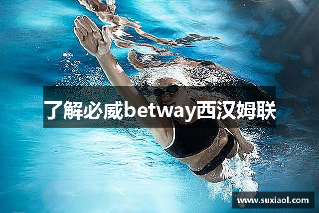 了解必威betway西汉姆联